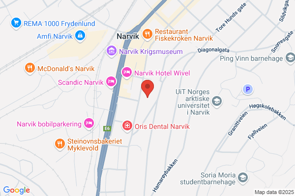 Farveglede Narvik
