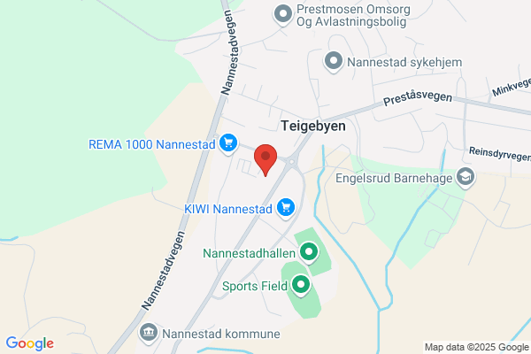 Nannestad Regnskapslag Ba