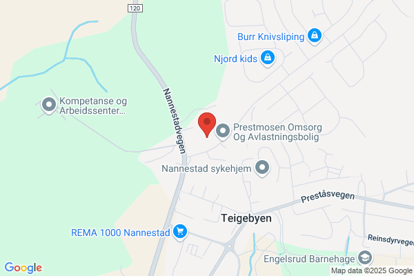 Soknepresten I Nannestad