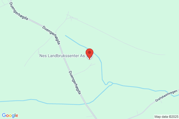Nes Foredlingssenter A/s