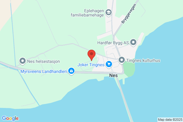 Nes Innkjøpslag Ba