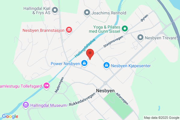 Lokalvet Nesbyen
