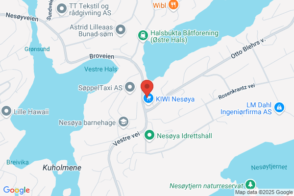 Nesøya Eldres Vel