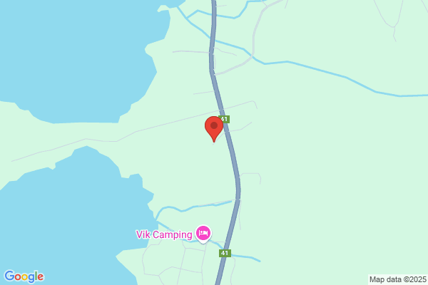 Sølvsmia