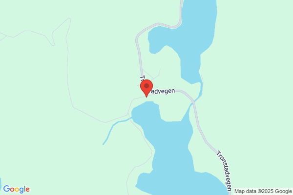 Birkeland Anstein Og Ole Tom