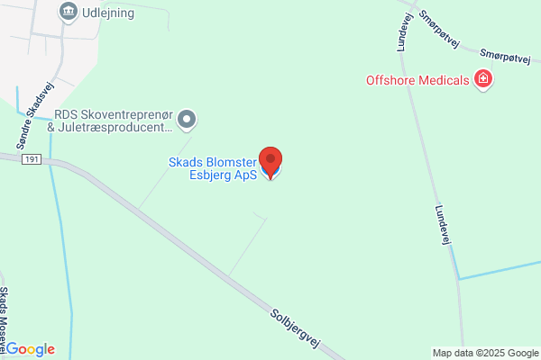 Skårer Blomster