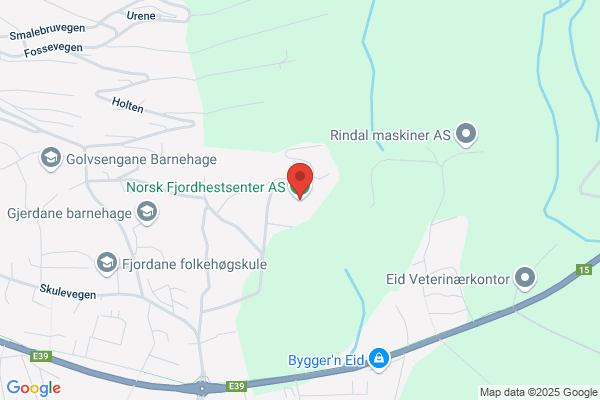 Norges Fjordhestlag