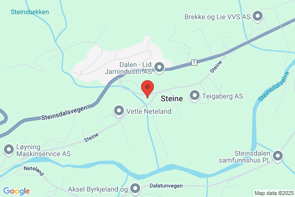 Steine Henrik As