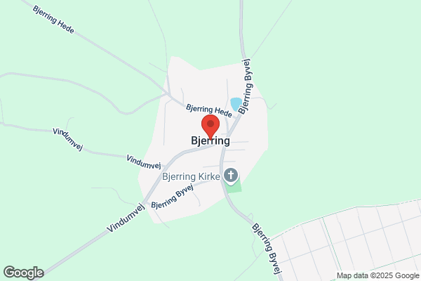 Bjerring Hans P