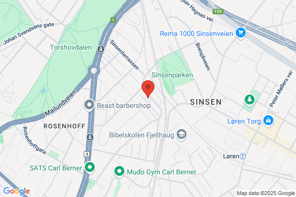 Sinsen Naturmedisinske Institutt