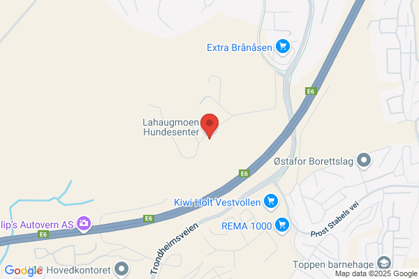 Norsk Speedometer Service A/s