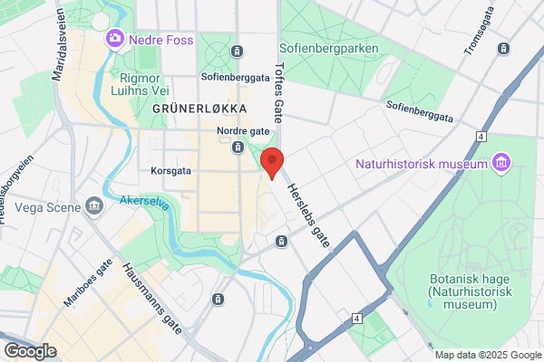 Norsk Høgskole For Helhetsterapi As