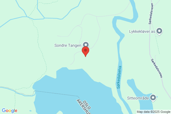 Tangen Kari