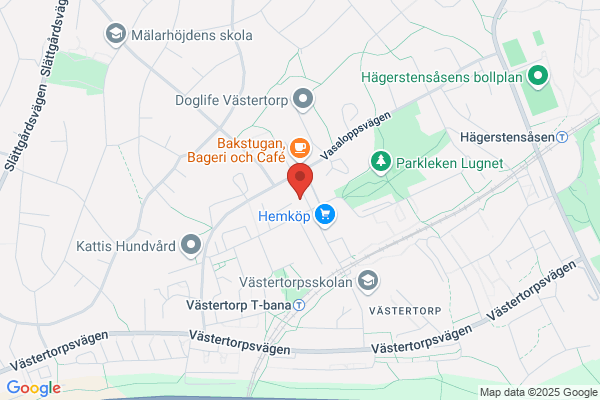 Antikboden