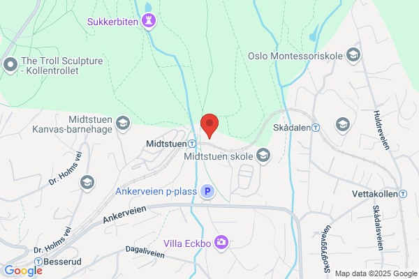 Blåbærskogen Barnehage