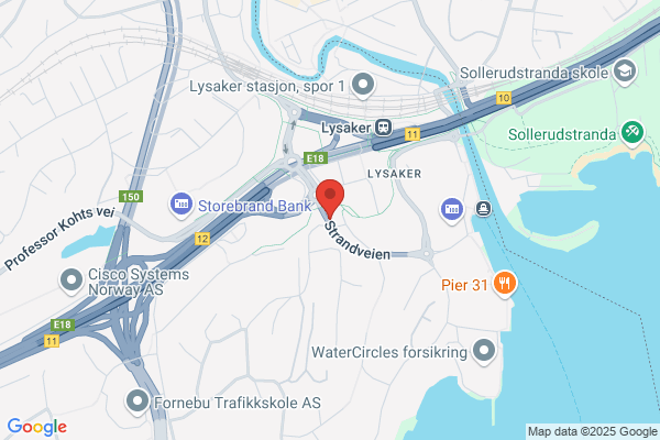 Oslo Consulting Group A/s