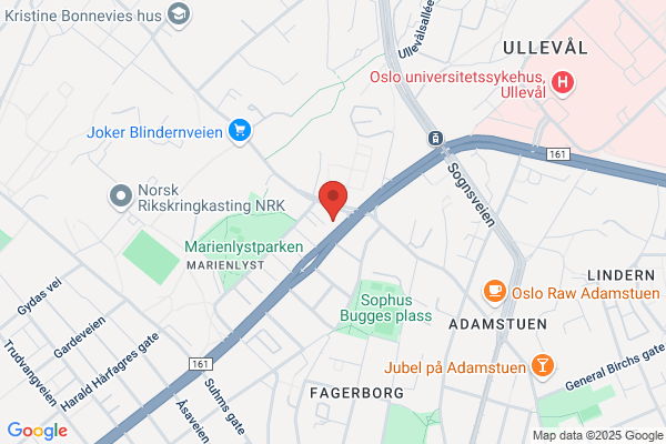 Wang begravelse Majorstua/Ullevål