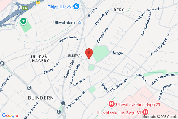 Damplassen Blomster