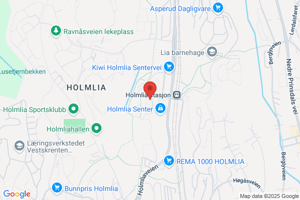 Den Grønne Gren As