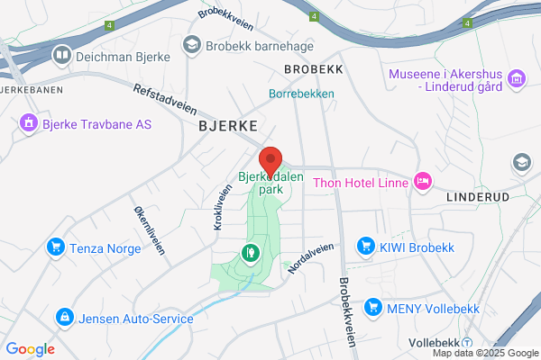 Bjerkedalen Borettslag