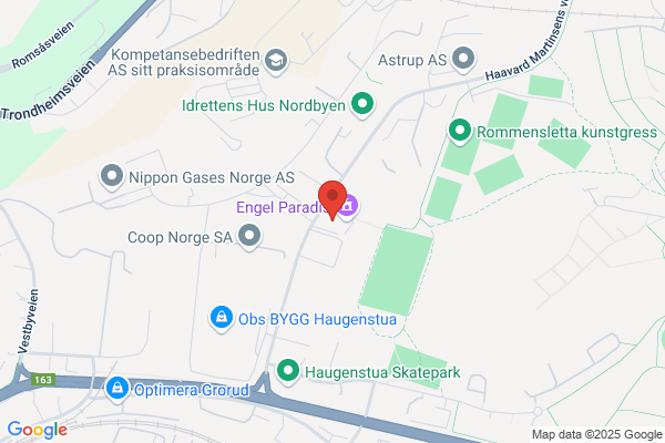 PÅgens As