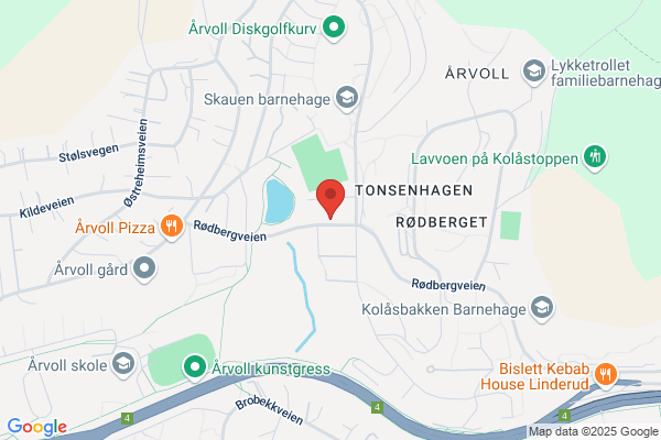 Megleren På Tonsen As