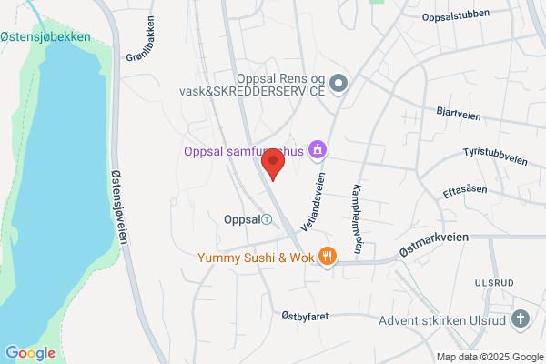 Obos-megleren Oppsal