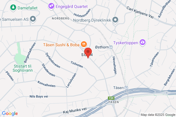 Nydalens Elektriske As