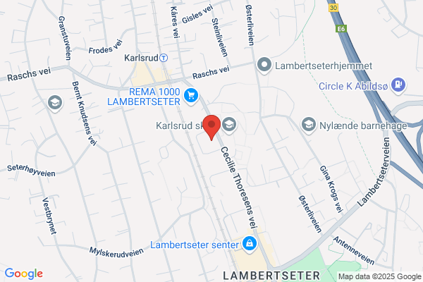 Overflatespesialisten As