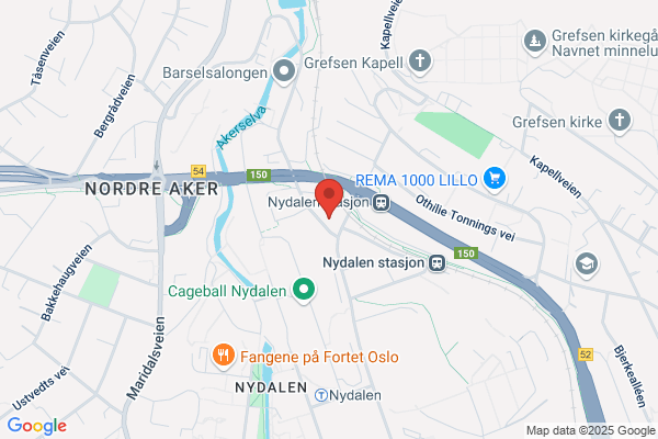Dampskibsexpeditørernes Forening