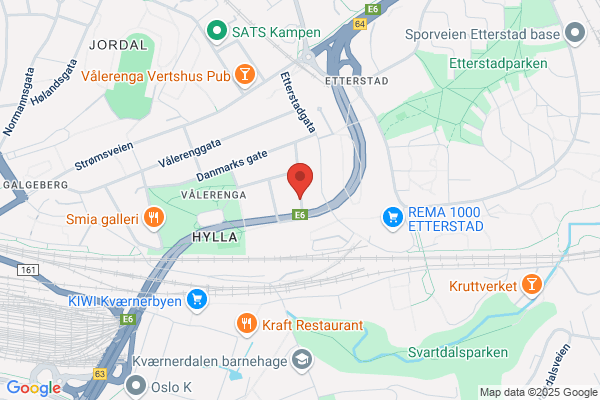 Aleneforeldreforeningen Affo