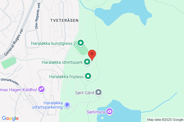 Bøler Idrettsforening