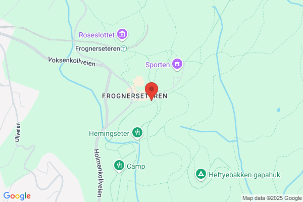Den Norske Skiskole