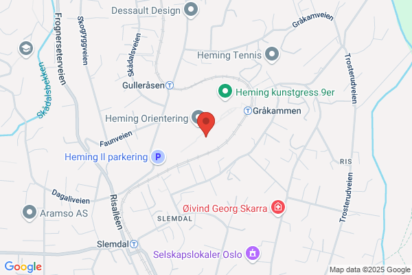 Heming Idrettslag