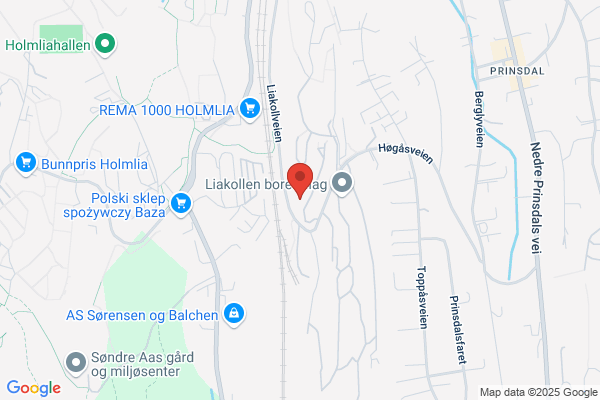 Støttesenteret For Silikonskadde