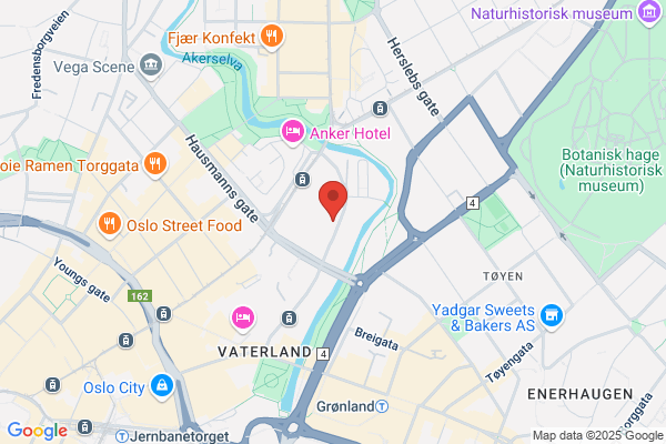 Tøyen Foto