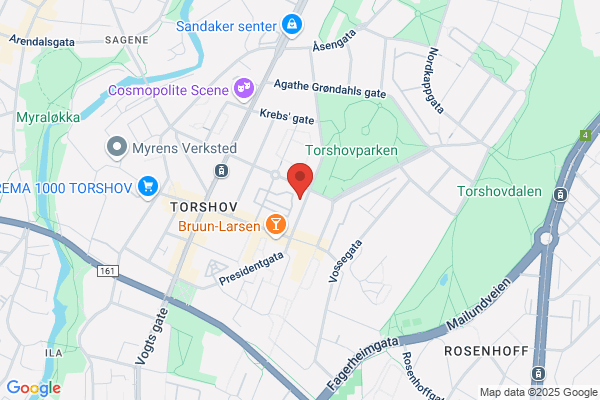 Academy Frisørene