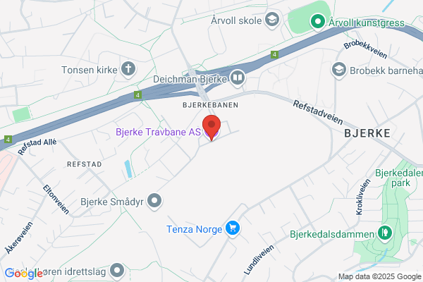 Bjerke-salongen Ans