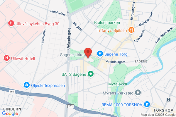 Bergmannen
