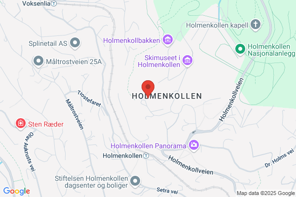 Holmenkollen Park Hotel Rica