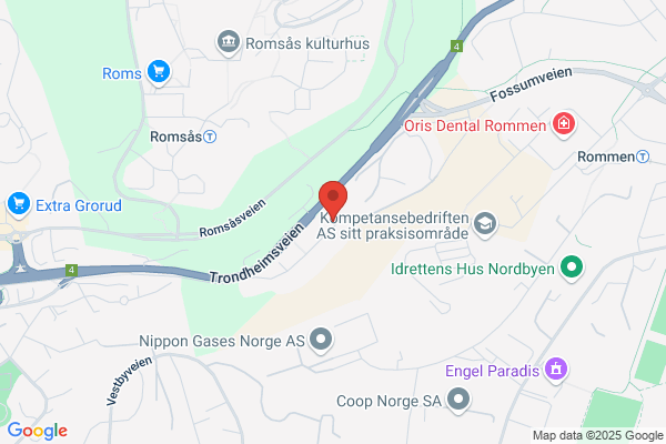 Nodest Asfalt Spesialdekker
