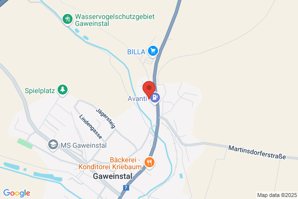 Gullner Randi Int. Ark.