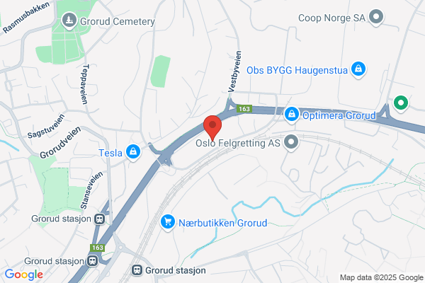 Borg Montasje As