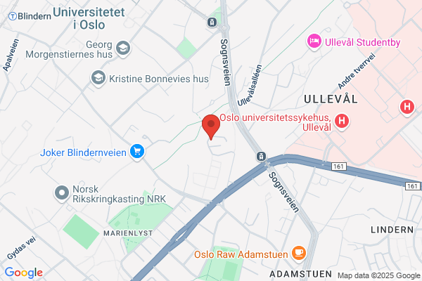 Nettverkskirken