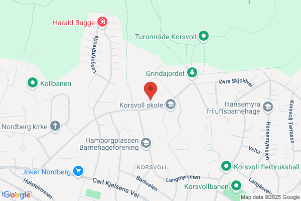 Birkeland Hanne