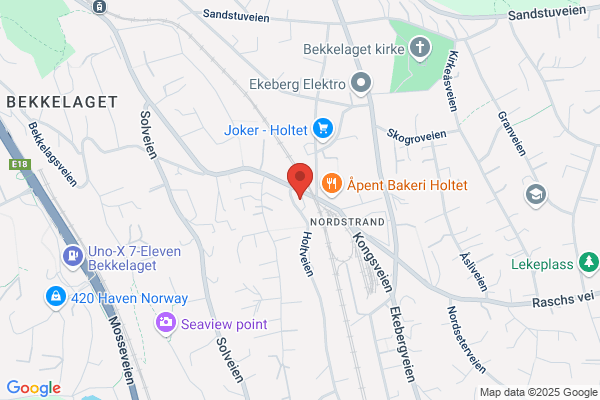 Holtet Elektriske