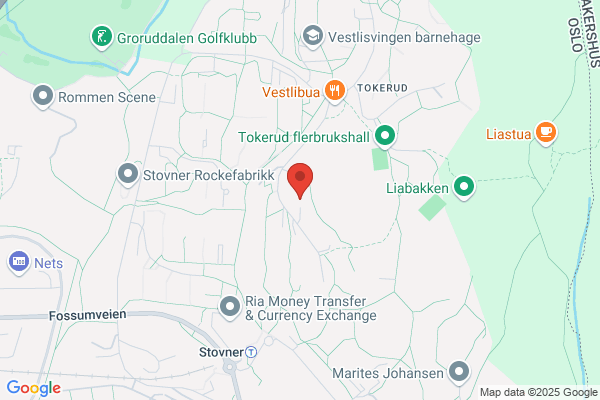 Rosenberg Limousine Emil R Velle