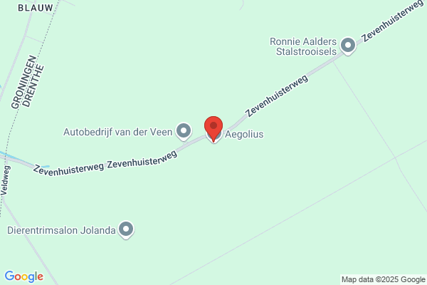 Testitonline As