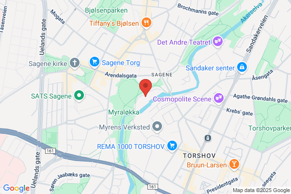 Den Tyske Skole I Oslo - Max Tau