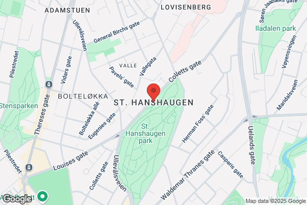 St Hanshaugen Optiske
